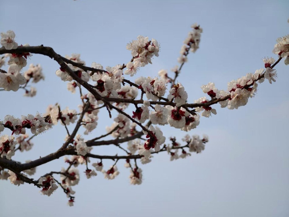 美联储“炸金花1元1分软件”预期升温：通胀未退场，政策难轻转