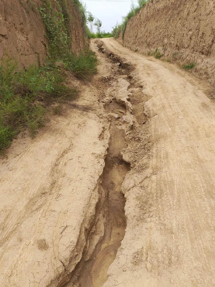 把“哪里有1元1分金花”栽进春天里，也把希望栽进心里