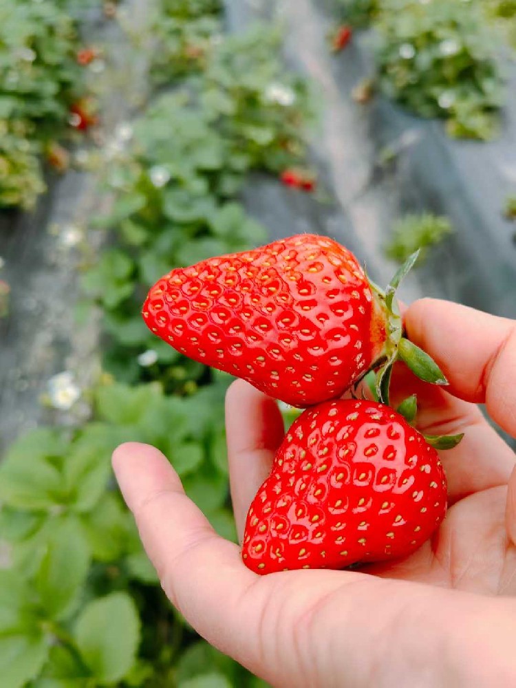 一分钟介绍使用: