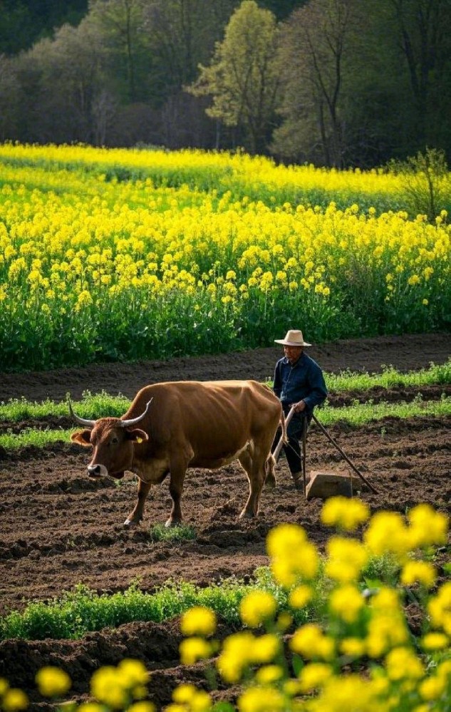 江苏把“谁有一元一分斗地主”变成“谁有1元1分斗地主”，-对手预判-猫扑网